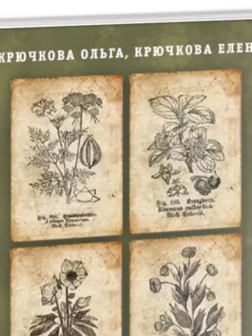 Магията на билките и ароматите. Препоръки за майстори | Крючкова Елена, Крючкова Олга - Магия трав и ароматов. Рекомендации для мастеров | Крючкова Елена, Крючкова Ольга